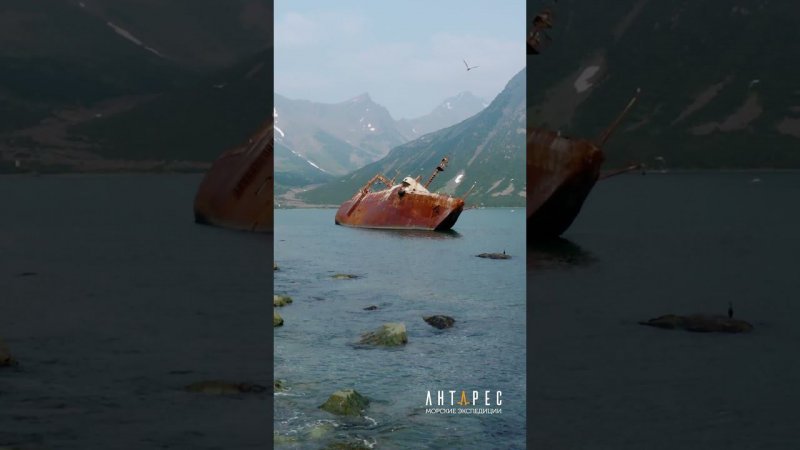 БМРТ "КРЕЧЕТ". Бухта Лаврова #antares_east #seatravel #shorts #secret #камчатка #shipwreck