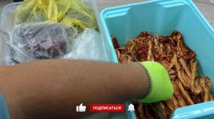 МЕДЬ. Ежегодный отчет 2021. ВСЯ МЕДЬ канала.