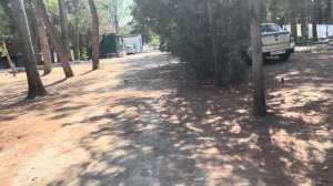 #VLOG КЭМПИНГ ГОЛУБЫЕ ЕЛИ/ДЖЕМЕТЕ