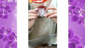 А КОРЕЙЦАМ ВКУСНО!ШОК!КОРЕЙЦЫ ЕДЯТ ЛЁД!!!