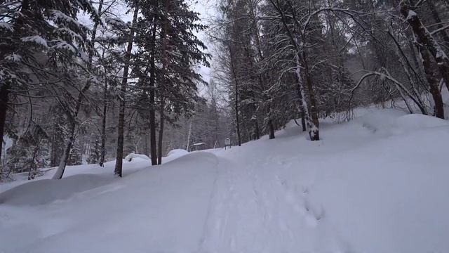 Белокуриха тропа до старой мельницы Прогулка по зимниму лесу и горам город-курорт 2021 Терренкур