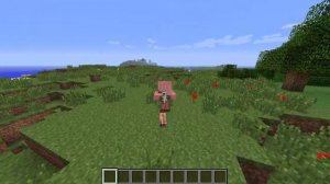 Minecraft Mod Review: Morph Mod - Become an Enderman