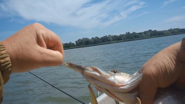 Рыбалка 8 июня 2019 смотреть онлайн