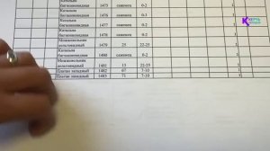 Инвентаризация деревьев проходит в Керчи