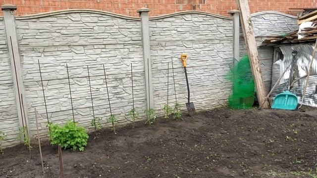 Купили рассаду начинаем сажать помидоры ? и огурцы ? смотреть онлайн