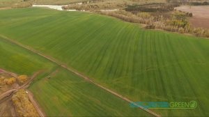 Рулонный газон Самара. Производитель рулонного газона в Самаре - Sagama Green