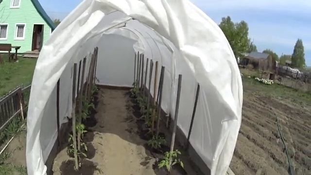 Дача. Посадка раннего картофеля. Мини парник для капусты смотреть онлайн