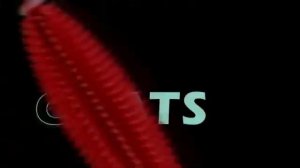 One by One VolumExpress Mascara TV commercial from Maybelline New York