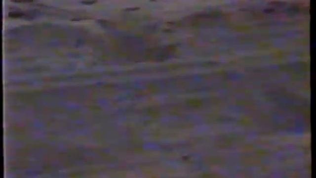 Финский залив о.Козлиный 1997 год