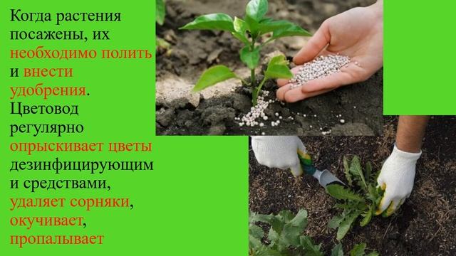 Художественный труд 5кл. Тема  ,,Весенние работы в растениеводстве,,