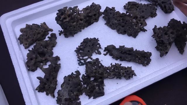 Обзор натурального жилого модуля / natural living module смотреть онлайн