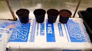 Агробалт.    Грунтом затарилась.???. Обзор.