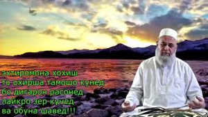 #ХОЧИ#МИРЗО# САВОЛ#ЧАВОБ#ДАР#БОБИ#ЗИНО#(2020)