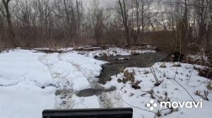 Гризли 200 люкс. Обследовали дорогу до реки.