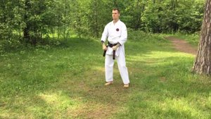 Атака и защита руками в Годзю-рю каратэ. Аттестационная программа.