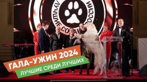 Лучшие собаки России 2024. Церемония награждения.