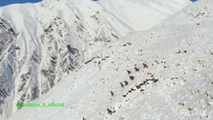 Красоты дикой природы Тляратинских гор, Туры. Тляратинский район, р. Дагестан