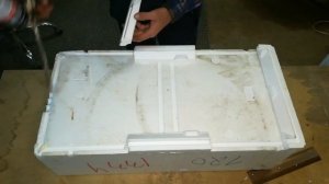 ДОРАБОТКА ПЕНОПЛАСТОВЫХ ЯЩИКОВ! ВЫПОЛЗКИ 1 МЕСЯЦ ПРОЖИВАНИЯ!