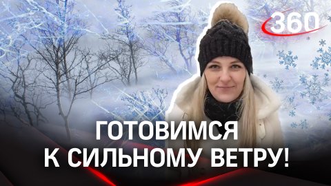 Снегопад и сильный ветер: прогноз погоды в Москве и Подмосковье | 30 января