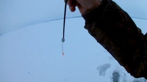 Моя тактика зимней ловли подлещика на мормышку. Водохранилище.