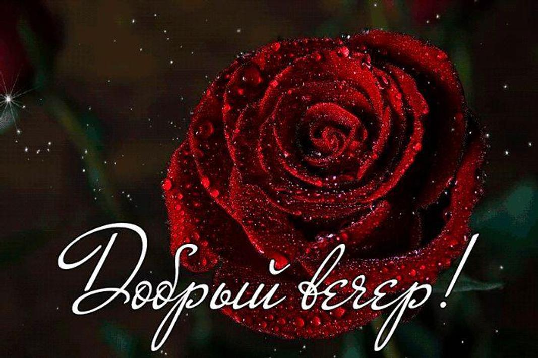 Пожелание Доброго Вечера Прекрасного Настроения