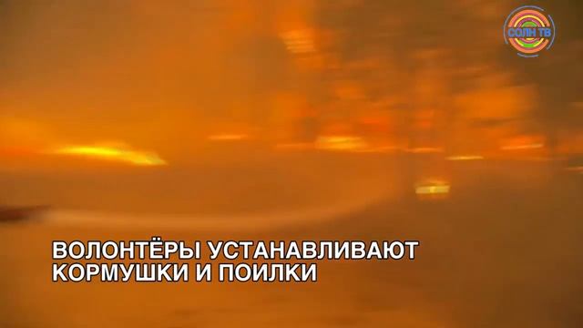 В "Аптекарском огороде" Москвы цветут тысячи экзотических орхидей смотреть онлайн