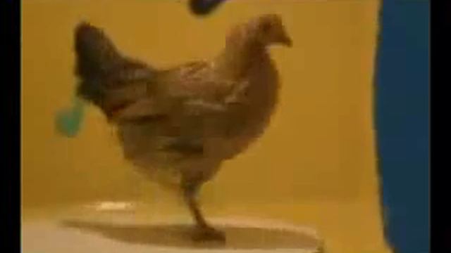 Курица танцует для вас смотреть онлайн