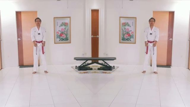 TAEKWONDO BROWN BELT TEST | WORLD TAEKWONDO FEDERATION | SINGAPORE | ACME | GRADING | STF смотреть онлайн