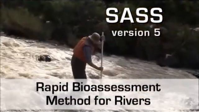 SASS5 Series - Introduction to SASS5 Aquatic Macro-invertebrate Sampling смотреть онлайн