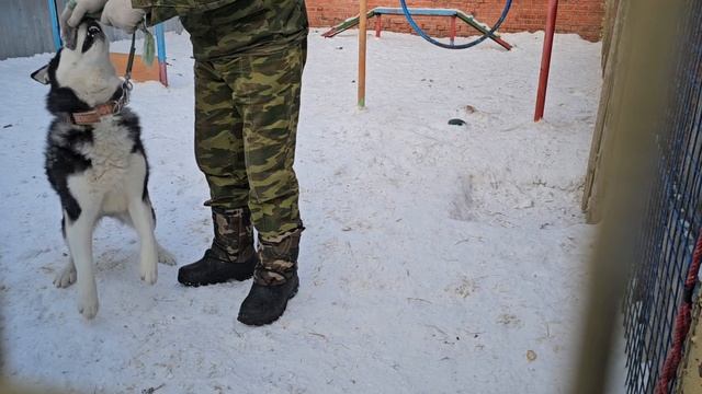 Небесно голубые глазки | Новоселье Гаррета