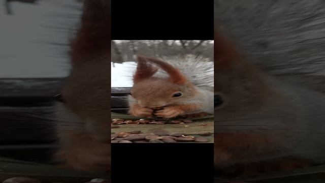 Хорошенький злодей
