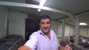 КАЛИФОРНИЙСКИЙ КРОЛИК , МОЙ ОПЫТ И ОШИБКИ!