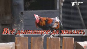 МОЛОДЕЖНОЕ ПРОСЛАВЛЕНИЕ 1 ХРИСТИАНСКОЕ ПРОСЛАВЛЕНИЕ ПОКЛОНЕНИЕ КАРАОКЕ СО СЛОВАМИ 2019  СБОРНИК №16