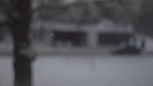 Кошка хочет курить....