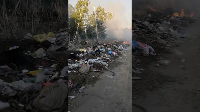 Природа малой родины М. С. Евдокимова завалена ТБО