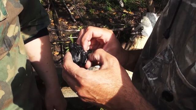 Открытый лекторий Центра социализации молодёжи "Музей завтрашнего дня : профессия палеонтолог" смотреть онлайн