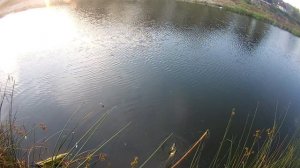 Рыбалка на телевизор