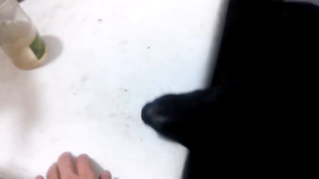 вот как вырос бобик! тот самый щенок, которого нашел на улице смотреть онлайн