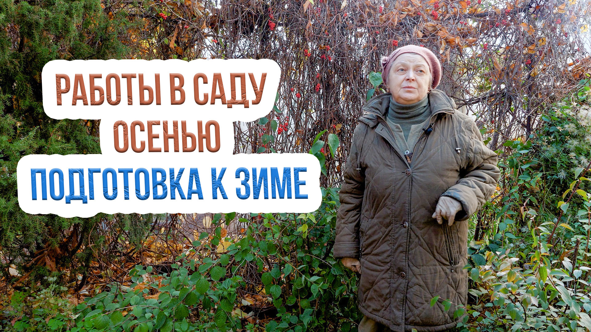 Осенний уход за деревьями и кустарниками. Как подготовить сад к зиме?