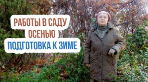 Осенний уход за деревьями и кустарниками. Как подготовить сад к зиме?