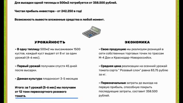 Обзор инвестиций в высадку томата "Розовый слон" смотреть онлайн
