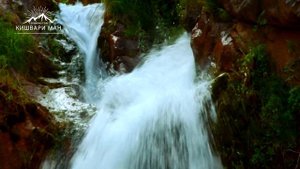 живая природа Таджикистан Рашт