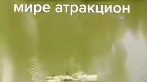 Тарзанка с крокодилом