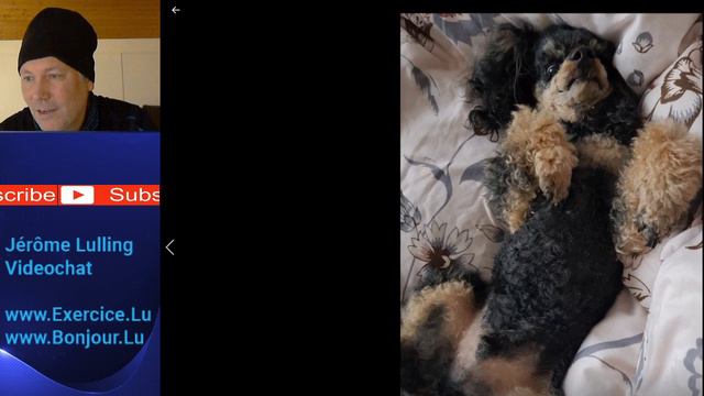 VC 35: Passé composé, en Hausdéier смотреть онлайн