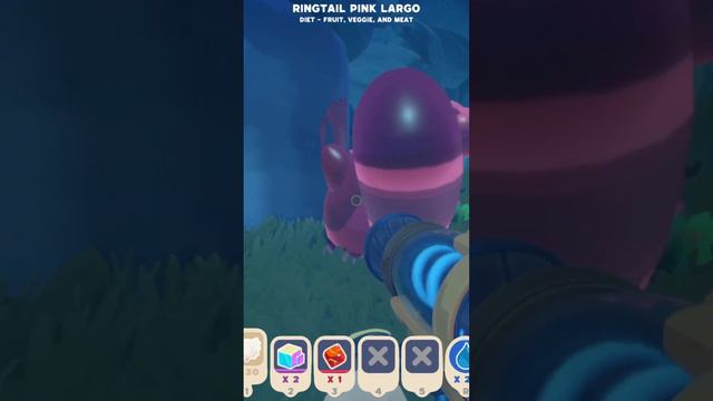 I Found The RINGTAIL SLIME in Slime Rancher 2