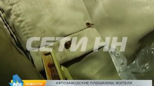 Жители автозавода свою квартиру превратили в настоящую свалку