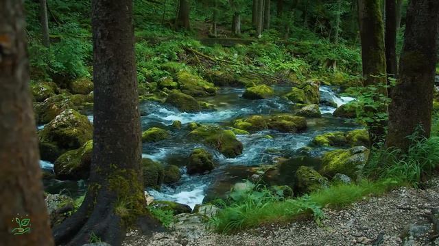 Лучшая Красивая расслабляющая музыка - Перестаньте слишком много думать смотреть онлайн