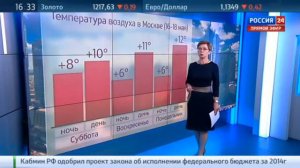 Погода 24: циклон принес в Центральную Россию дожд