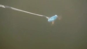 Блесна Цикада (Cicada) \ vibration lures Cicada \ blade bait