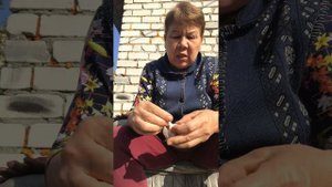 Сегодня занимаюсь,разделением чеснока на зубчики,для посадки.